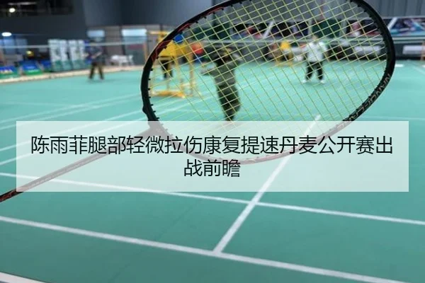 陈雨菲腿部轻微拉伤康复提速丹麦公开赛出战前瞻